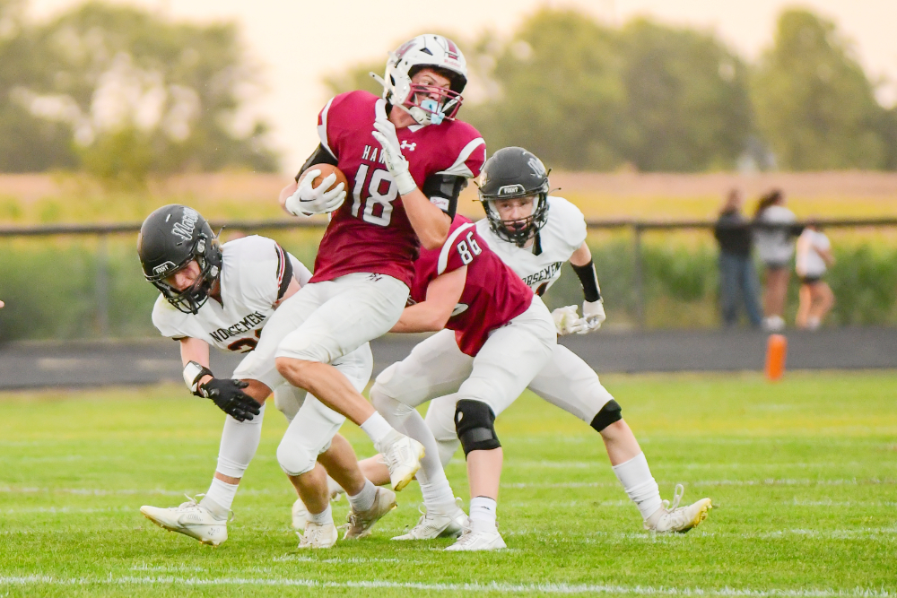 Hawks play for runnerup spot News, Sports, Jobs The Freeman Journal